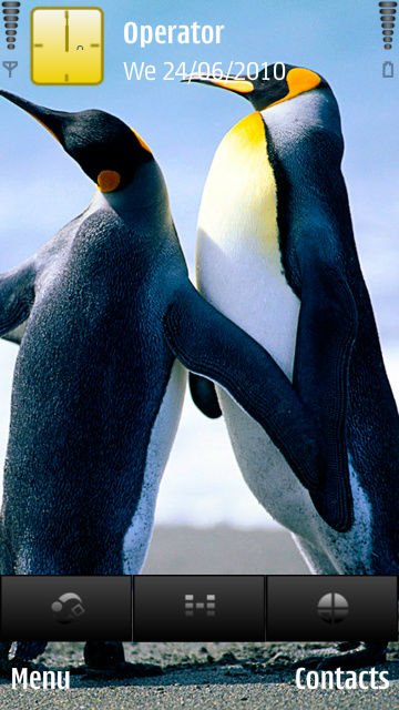 Penguins -  1