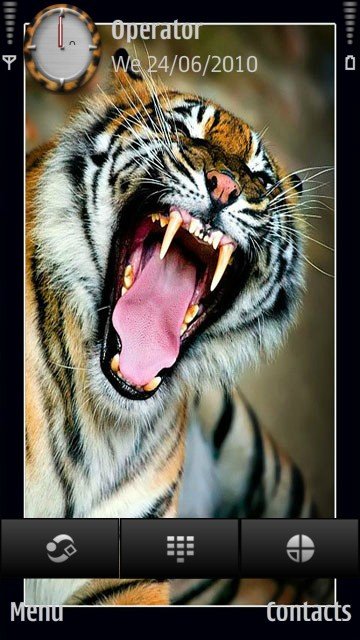 Angry tiger -  1