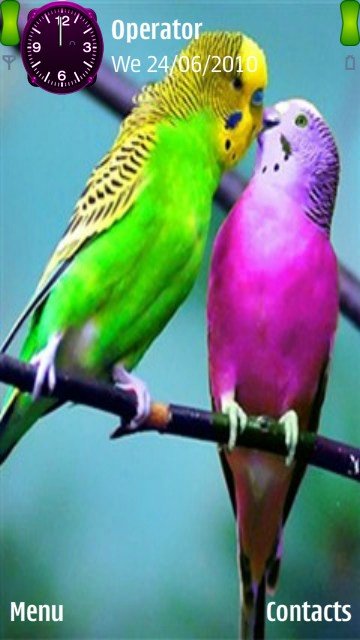 Lovely birds -  1