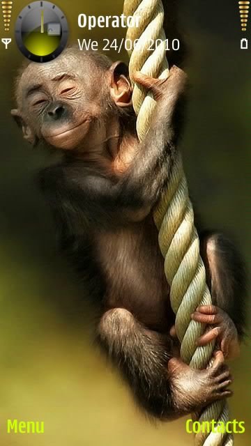 Little monkey -  1