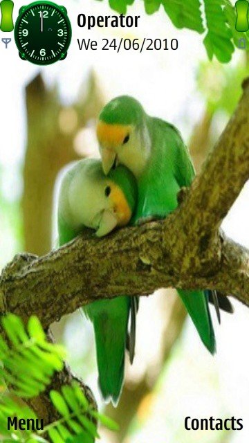 Lovely birds -  1