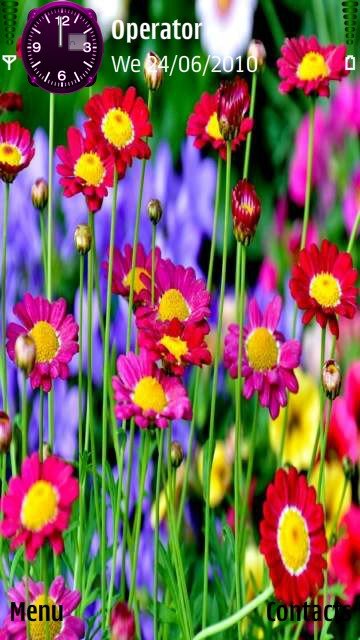 Colourful garden -  1