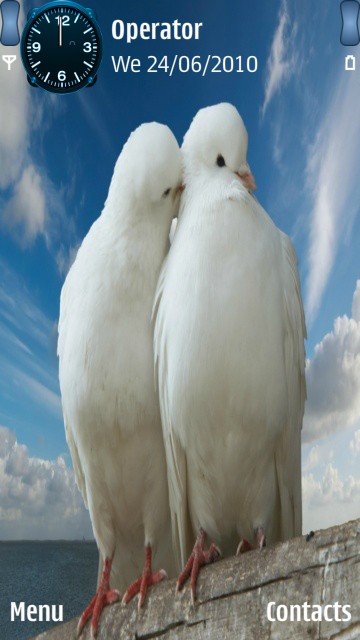 Love doves -  1