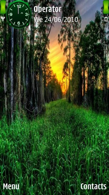 Sunset forest -  1