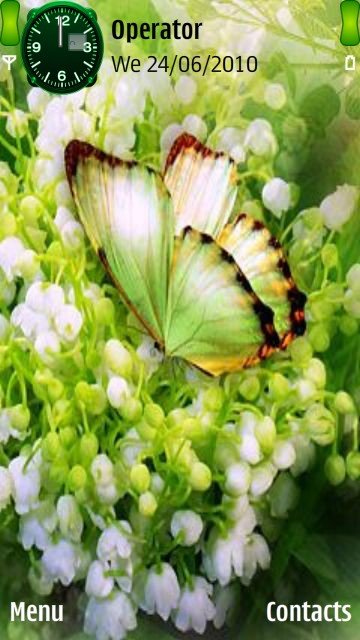 Beautiful butterfly -  1