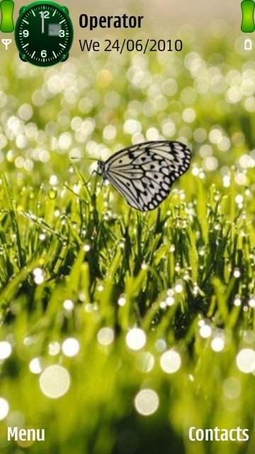 Beautiful butterfly -  1