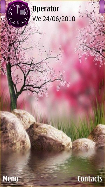 Cherry blossom tree -  1