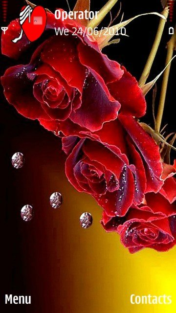 Red roses -  1