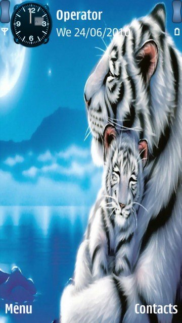 White tigers -  1
