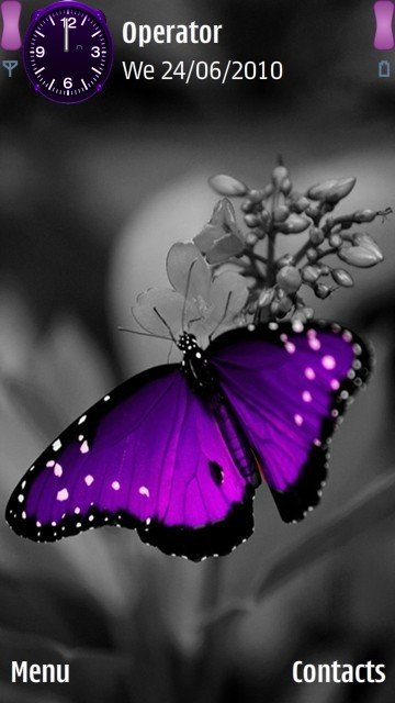 Purple butterfly -  1