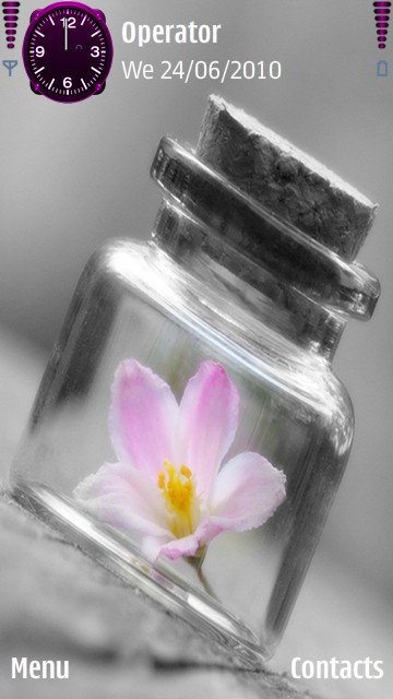 Bottled flower -  1