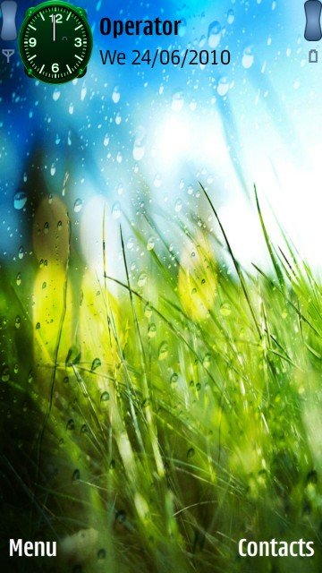 Rainy grass -  1