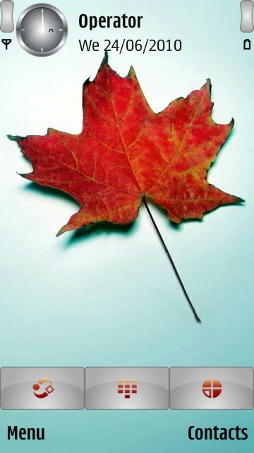 Autumn leaf -  1