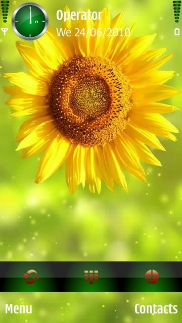 Bright yellow flower -  1