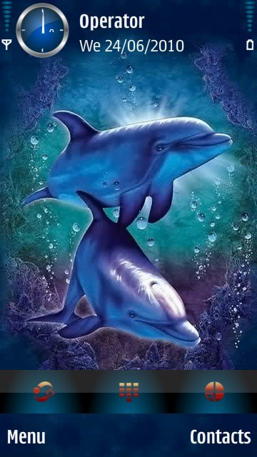Dolphin friends -  1