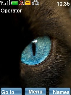 Blue eye -  1