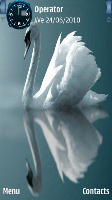 White swan -  1