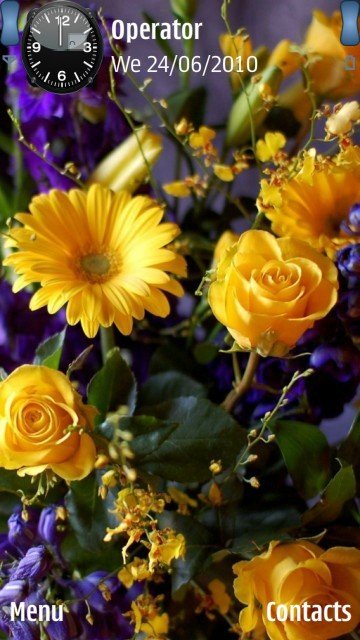 Yellow flowers -  1