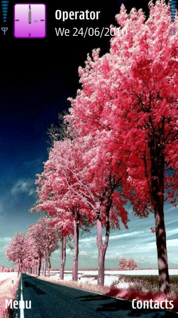 Pink trees -  1
